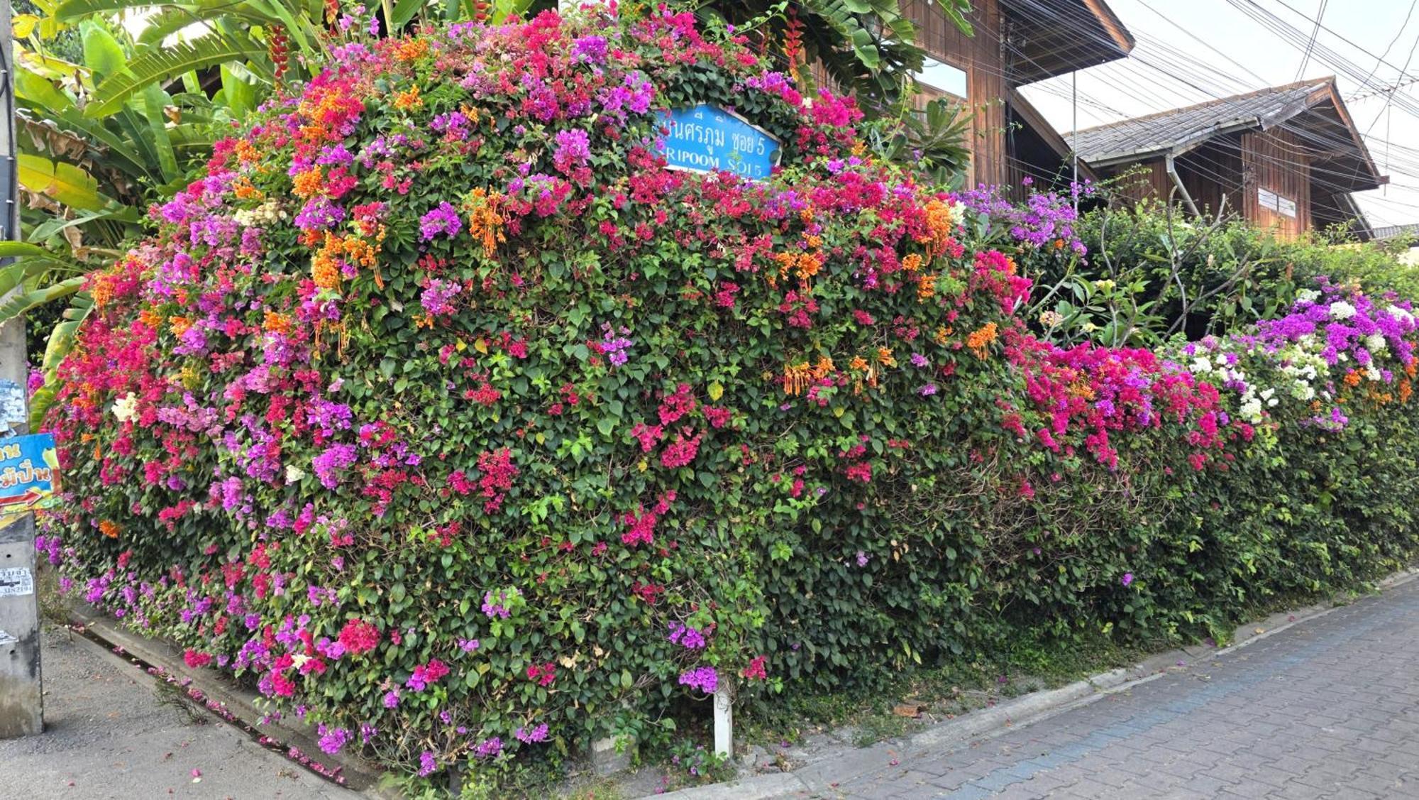 Siriwan Hostel Чиангмай Экстерьер фото